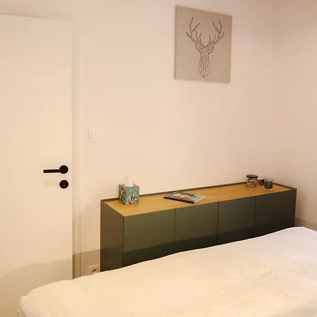 Apartman Schlick Jáchymov